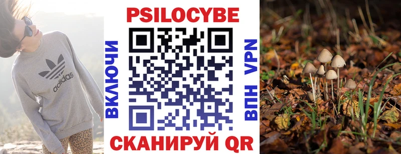 Галлюциногенные грибы мицелий  hydra онион  Канаш 